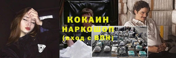 стаф Ачинск