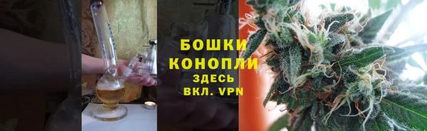 дмт Бердск