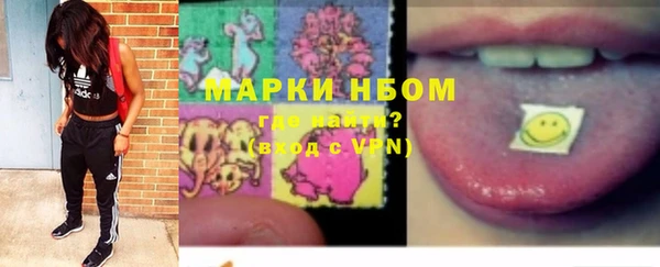 дмт Бердск