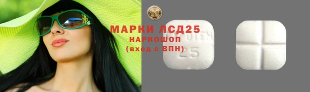 стаф Ачинск
