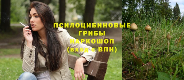 стаф Ачинск