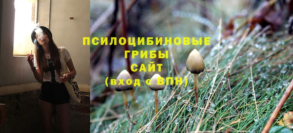 стаф Ачинск