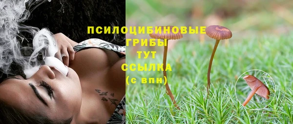 стаф Ачинск