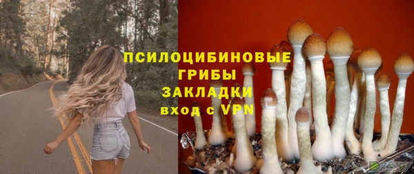 дмт Бердск