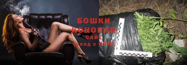 дмт Бердск