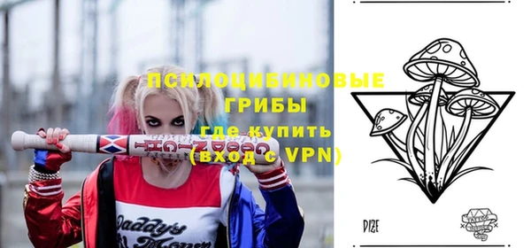 стаф Ачинск