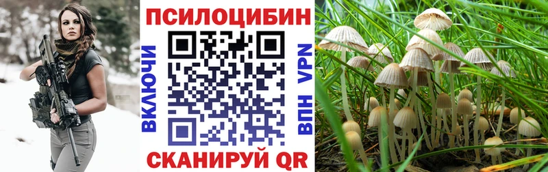 Галлюциногенные грибы ЛСД  Каргат 